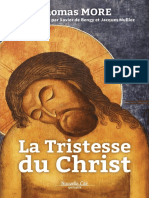 A Tristeza de Cristo - Sao Thomas More