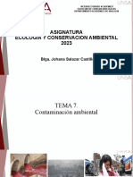 Tema 7 Contaminación Ambiental