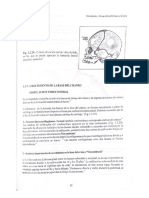 Crecimiento y Desarrollo-Parte 2