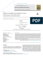 Sinopsis Metabolismo AA