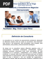 Asesoria y Consultoria en Negocios Internacionales