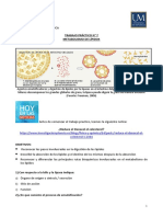 TP Metabolismo de Lípidos Alumnos