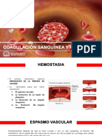 Hemostasia Sanguínea y Hemorragia