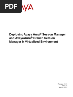 Deploy Session MGR in Virtualized Env Release 10.1 Issue2 Mar 2022