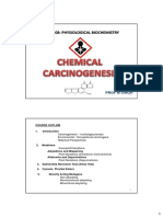 Chemical Carcinogenesis Handout 2023