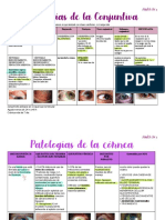 Patologías de La Córnea y Conjuntiva