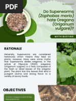 Do Superworms (Zophobas Morio) Hate Oregano (Origanum Vulgare)