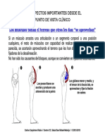 Aspectos Clínicos Importantes Sobre El Músculo