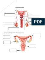 Aparatos Reproductores