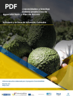 COLOMBIA MIDE Aguacate-Necesidades y Brechas - 20210506