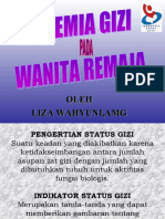 Anemia Gizi