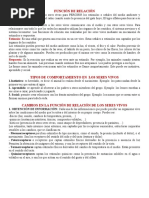 Tema para Martes 13 Del 2023 Función de Relación