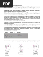 3 - 3 Estructuras Cíclicas de Monosacáridos