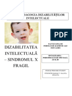 Dizabilitatea Intelectuală