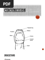 Circumcision Lecture Notes