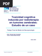 Neurotoxicidad Cognitiva Inducida Por La Radioterapia Cerebral en Adultos