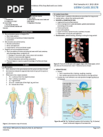 Anatomy 2.7 Clinical Correlation of The Deep Back and Lower Limbs - Dr. Borromeo