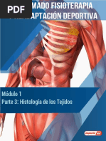 3 Histologia de Los Tejidos