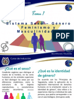 Tema 1 Sistema Sexo Género Feminismo