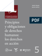 Principios y Obligaciones de DDHH