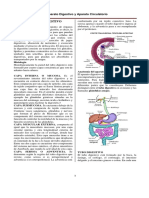 Tema N-1-2-Sistema Digestivo y Circulatorio