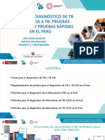 Métodos de Diagnóstico de TB Resistente - Pruebas Fenotípicas e Implementación de Pruebas Rapidas