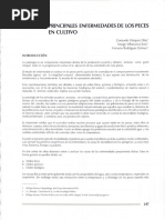 Principales Enfermedades de Los Peces en Cultivo: Capítulo VI