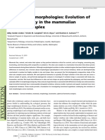 VanderLinden Et Al 2019 Head Turning Morphologies