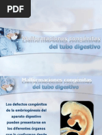 Malformaciones Congenitas Del Tubo Digestivo