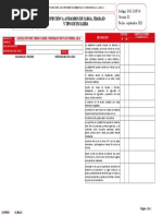 3.-Formato de Inspección A Andamios de Carga Trabajo y Tipo Escalera