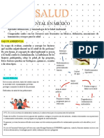 Tema 2 Salud Ambiental