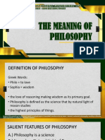 The Meaning of Philosophy 2