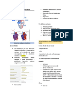 Cardiopatias Congenitas