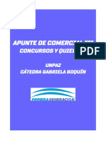 Apunte Definitivo Concursos y Quiebras Pg-1