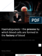 An Introduction To Haematopoiesis Prof Vernon Louw Clinical Haematology University of Cape Town