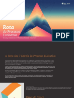 PDF Piramide Do Processo Evolutivo