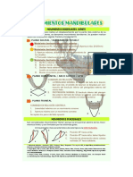 Infografía Oclusion