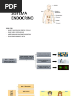 ACMA Expo. Biologia 4B