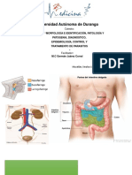 Tema IV. Parasitoss