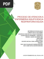 Pae Insuficiencia Respiratoria - Paredes Montaño-Sanchez Miranda