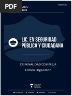 Unidad 2 Criminalidad Compleja