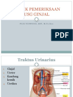 Teknik Pemeriksaan Usg Ginjal