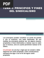 TEMA 3. - Principios y Fines Del Sindicalismo