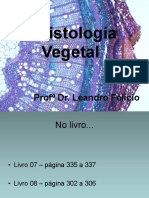 Histologia Vegetal 725640