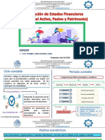 Cuentas Del Activo, Pasivo y Patrimonio