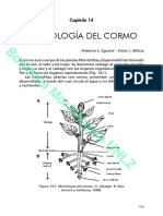 CLase 2. Vastago y Sus Adaptaciones