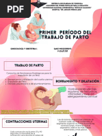 Primer Periodo Del Trbajo de Parto