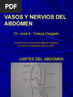 Vasos y Nervios Del Abdomen