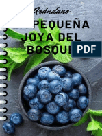 Cuaderno de Campo La Pequeña Joya Del Bosque