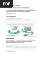 Células Procariontes y Eucariontes.085